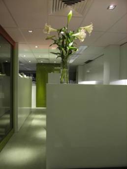 goffice_sh-17 - Geoform Design Architects